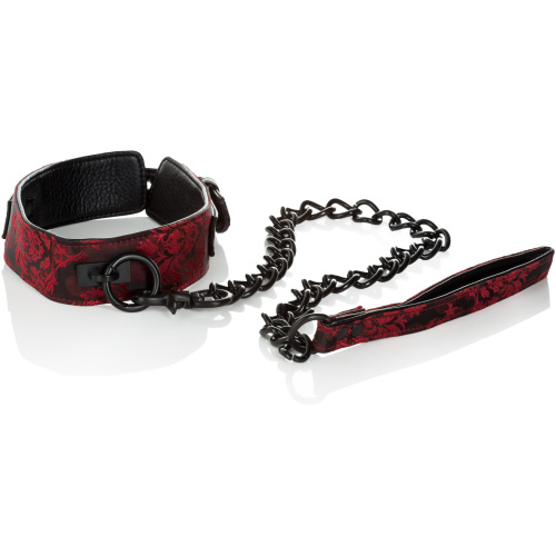 Scandal Collar With Leash