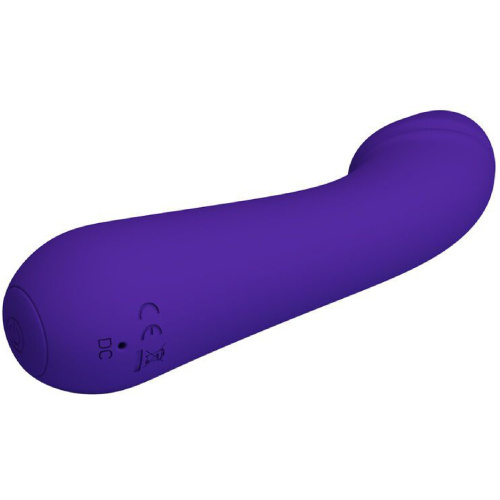 Cetus Rechargeable Vibrator - Purple