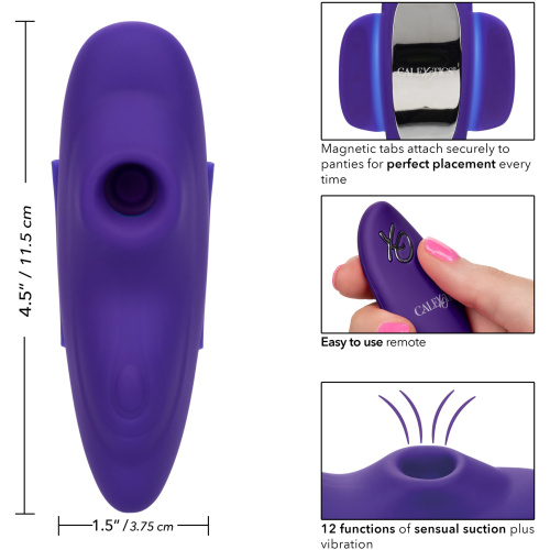 Lock-N-Play Remote Suction Panty Teaser - Purple