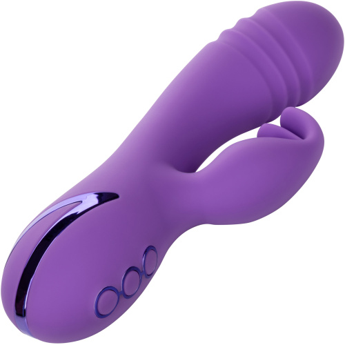 California Dreaming West Coast Wave Rider