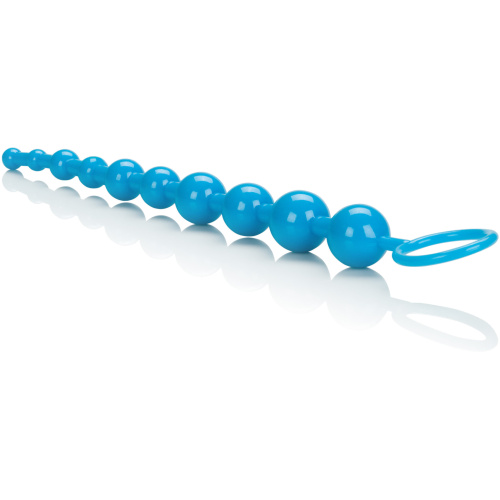 Shane's World Advanced Anal 101 - Blue