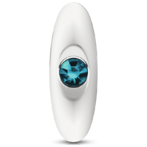 Cheeky Charms-Silver Metal Butt Plug Kit- Clear/teal