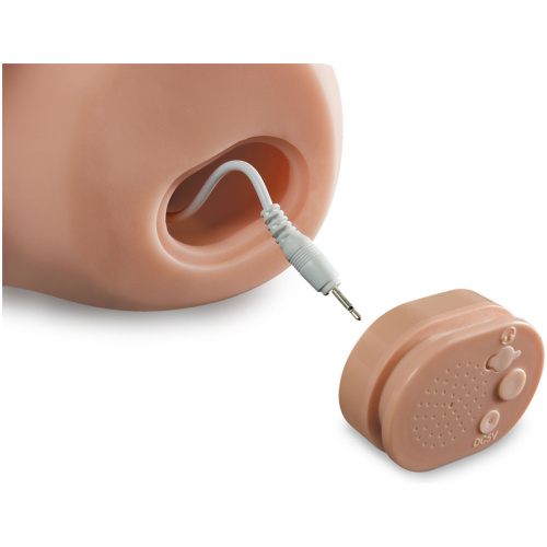 Pdx Male Dirty Talk Interactive Fuck My Cock