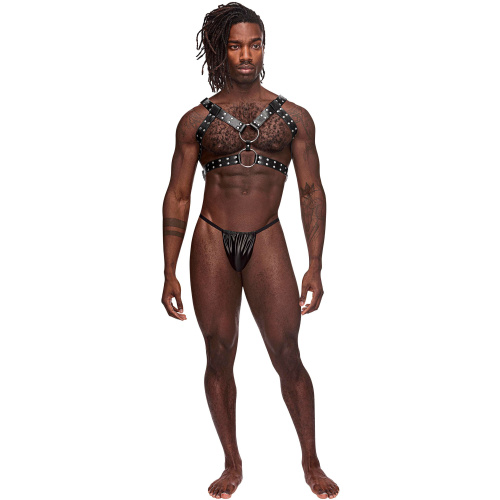 Gemini Leather Harness - One Size - Black