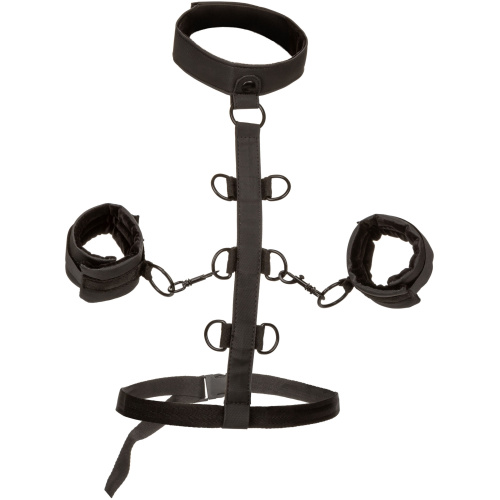 Boundless Collar Body Restraint - Black