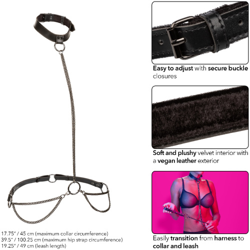 Euphoria Collection Chain Halter/collar and Leash - Black