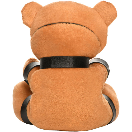 Gagged Teddy Bear Plush