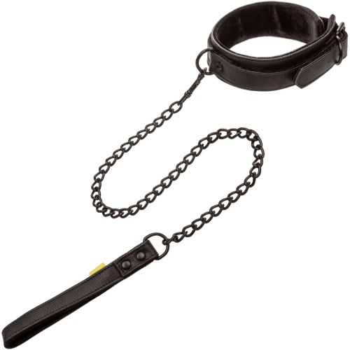 Boundless Collar & Leash