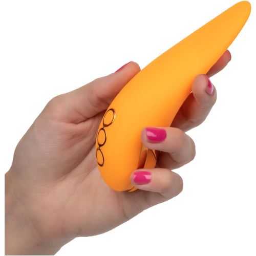 California Dreaming Hollywood Hottie