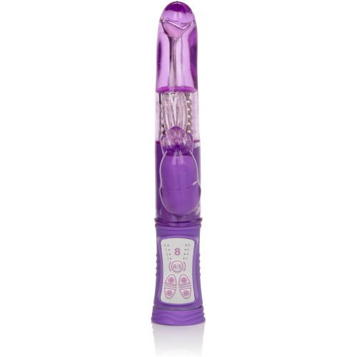 Shanes World Jack Rabbit G - Purple