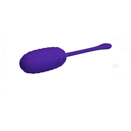 Kirk Rechargeable Vibrating Egg - Purple