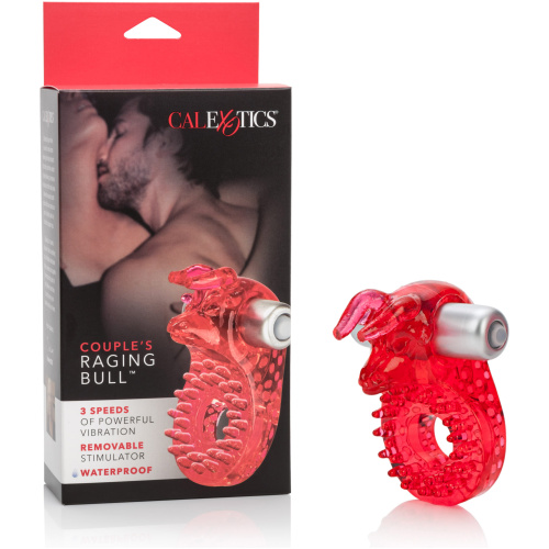 Couple's Raging Bull