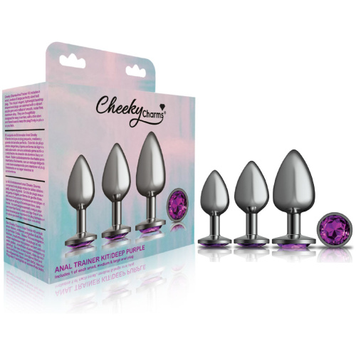 Cheeky Charms - Metal Butt Plug Gunmetal - Round - Deep Purple - Anal Trainer Kit