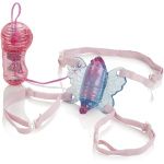 Shanes World Venus Butterfly