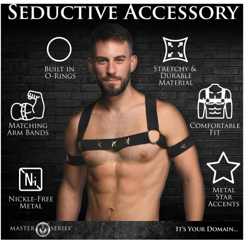 Star Boy Male Chest Harness With Arm Bands -  Small/medium - Black
