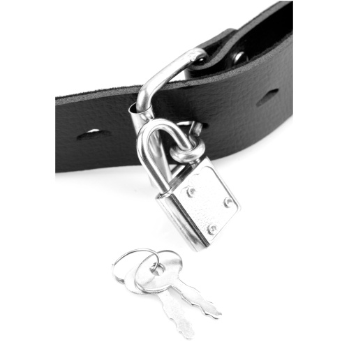 Fetish Fantasy Deluxe Ball Gag With Dildo