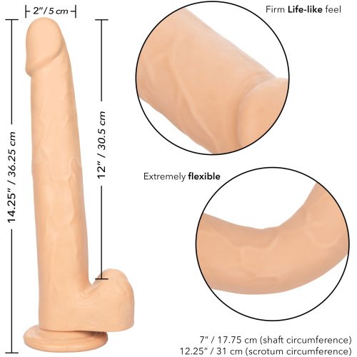 Size Queen 12 inch/30.5 Cm - Ivory