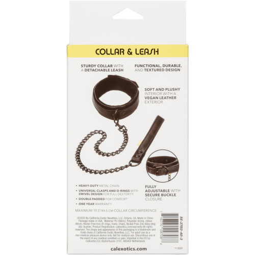 Boundless Collar & Leash