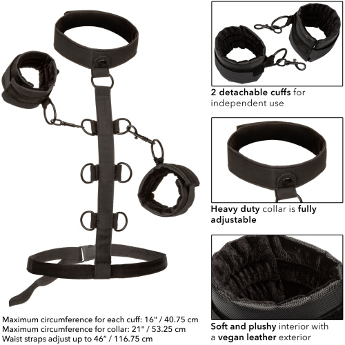 Boundless Collar Body Restraint - Black