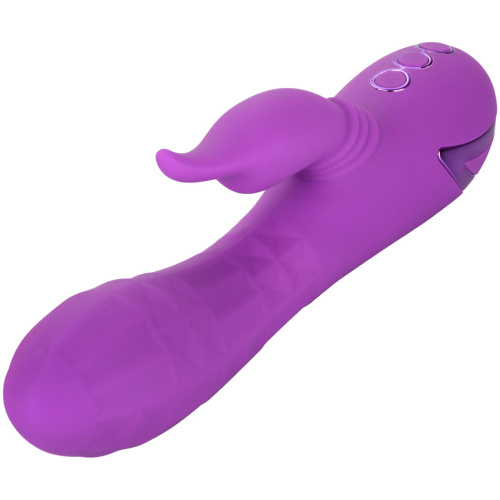 California Dreaming Valley Vamp