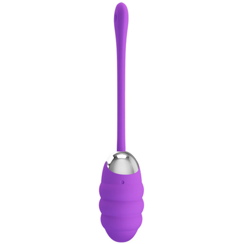 Pretty Love Franklin Rechargeable Egg Vibe - Purple