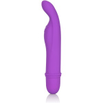 Shane's World Bedtime Bunny - Purple