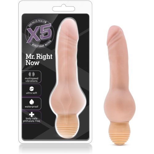 X5 Mr. Right Now - Vanilla