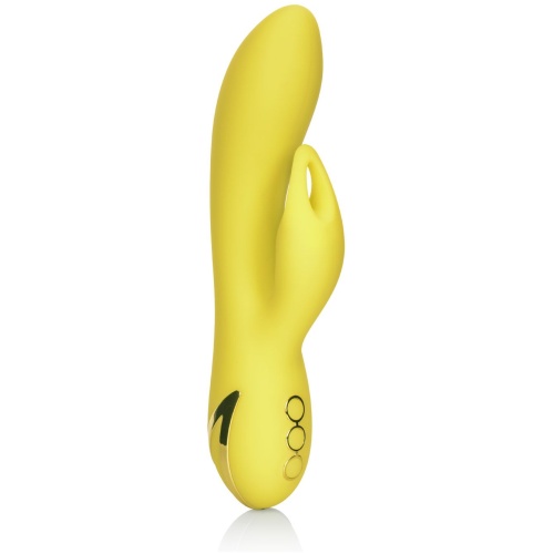 California Dreaming Venice Vixen