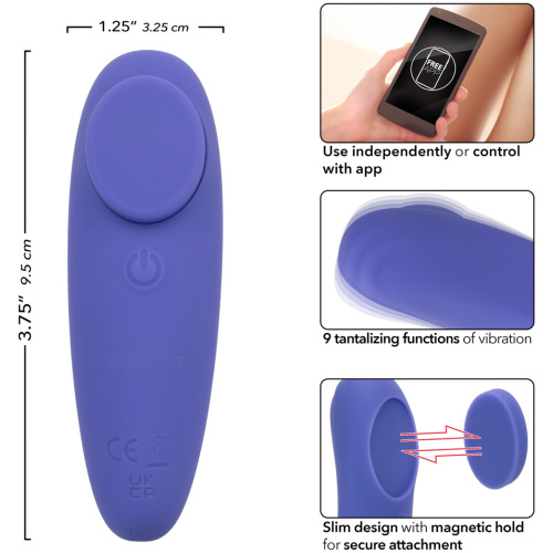 Calexotics Connect Panty Teaser - Periwinkle