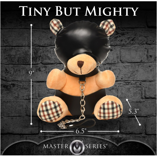 Hooded Teddy Bear Plush
