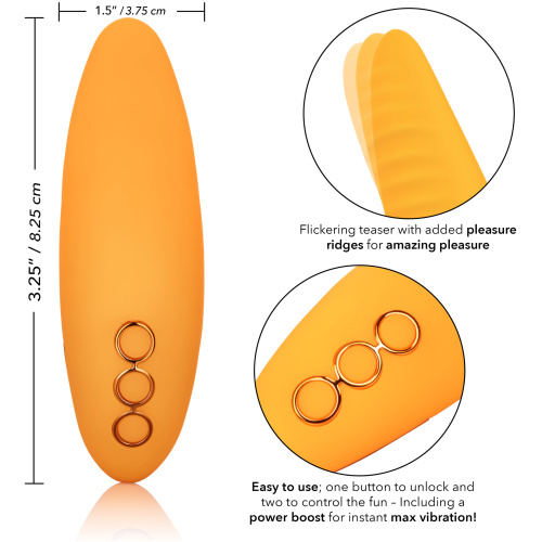 California Dreaming Hollywood Hottie