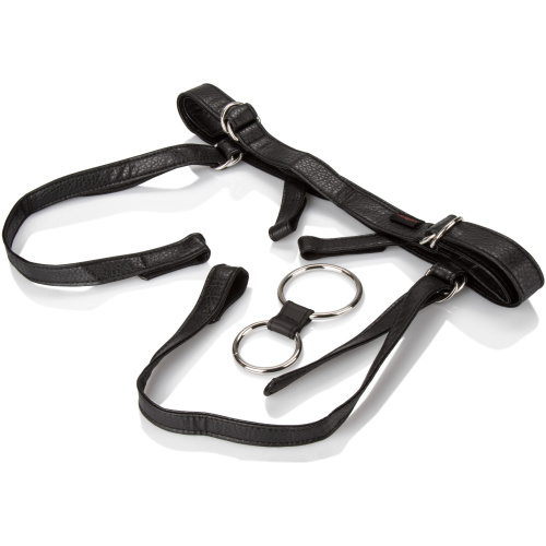 Her Royal Harness the Duchess - Boxed