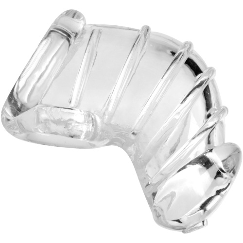 Detained Soft Body Chastity Cage