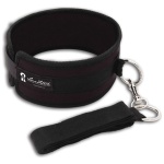 Collar and Leash Set