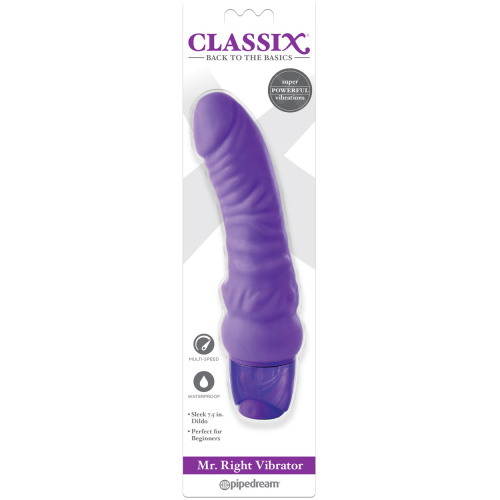 Mr. Right Vibrator - Purple