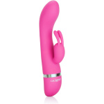 Foreplay Frenzy - Bunny