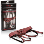 Her Royal Harness the Regal Empress - Red