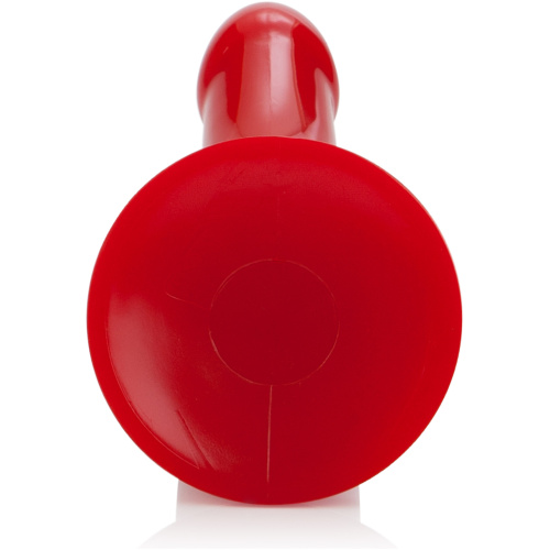 Sophia's Red Rider