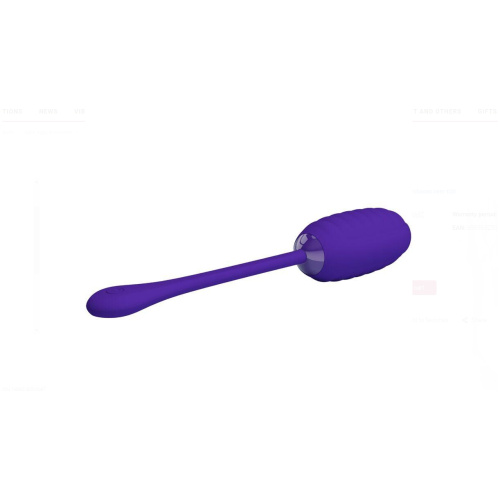 Kirk Rechargeable Vibrating Egg - Purple