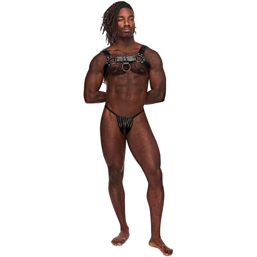 Aries Leather Harness - One Size - Black