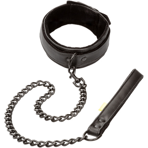Boundless Collar & Leash