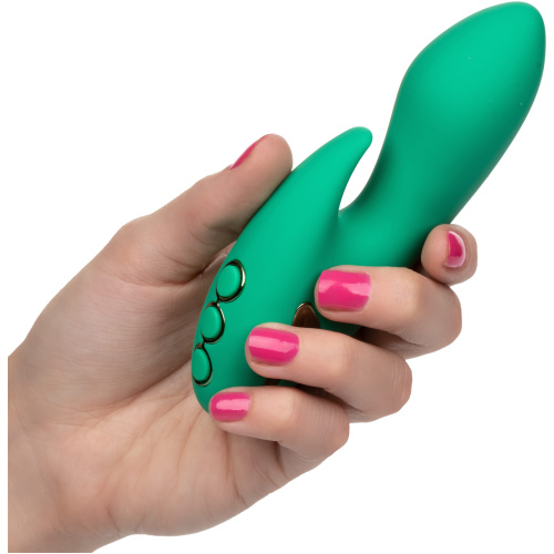 California Dreaming Sierra Sensation