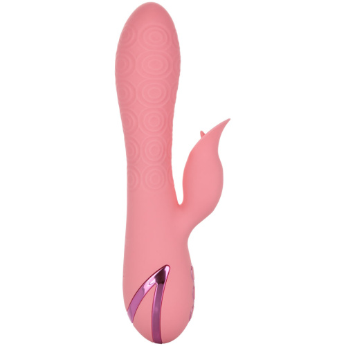 California Dreaming Pasadena Player