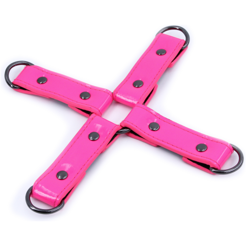 Electra Play Things - Hogtie - Pink