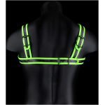 Bonded Leather Buckle Harness - Small/medium -  Glow in the Dark