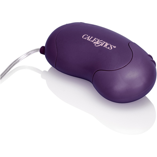 Bliss Bullet - Purple