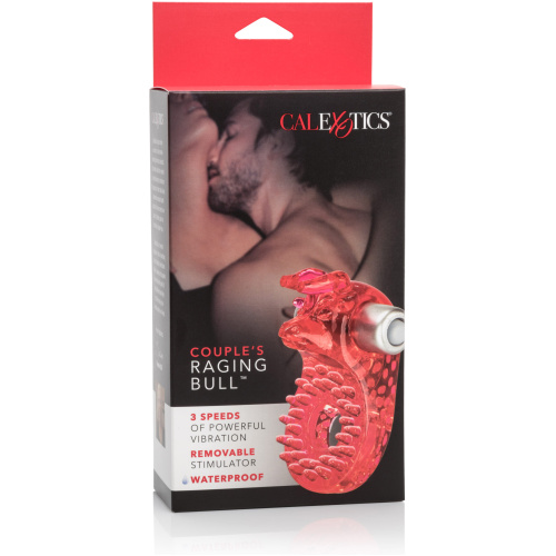 Couple's Raging Bull