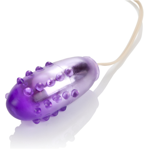 Pleasure Orb Vibrating Egg - Purple