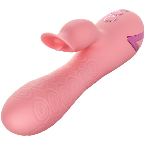 California Dreaming Pasadena Player