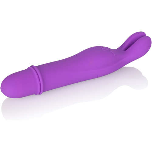 Shane's World Bedtime Bunny - Purple